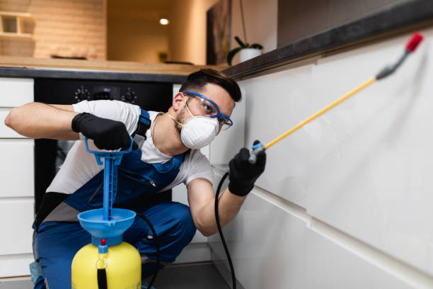 Best Pest Control Near Me in Princeton, NJ