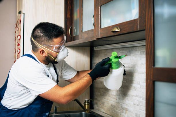 Best Pest Control for Restaurants  in Princeton, NJ