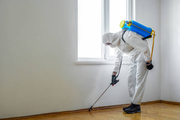 Best Emergency Pest Control  in Princeton, NJ