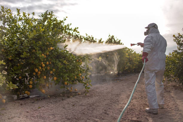 Best Best Pest Control Companies  in Princeton, NJ