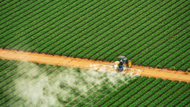 Best Mosquito Control Services  in Princeton, NJ